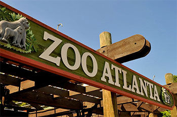 zoo atlanta